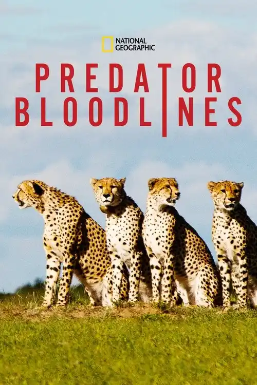 Download Predator Bloodlines (2021) Season 1 Hindi Complete DSNP WEB Series 480p | 720p HDRip 17 predator bloodlines 2021